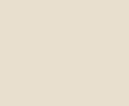 Ballet White paint